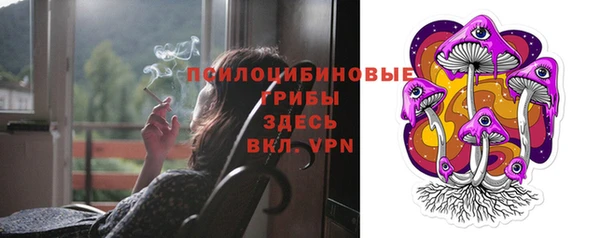 ПСИЛОЦИБИНОВЫЕ ГРИБЫ Алексин