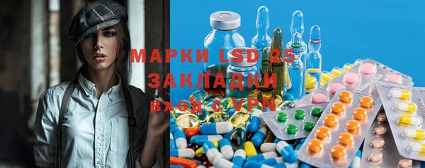 ПСИЛОЦИБИНОВЫЕ ГРИБЫ Алексин
