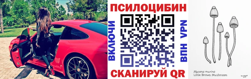 Псилоцибиновые грибы Magic Shrooms  купить  цена  Ковылкино 